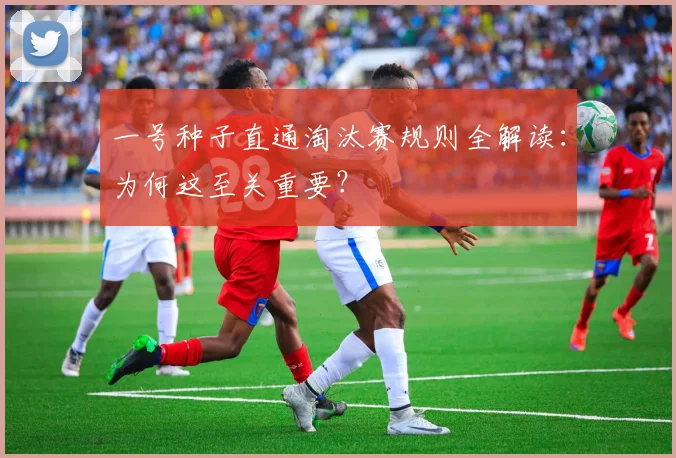 一号种子直通淘汰赛规则全解读：为何这至关重要？