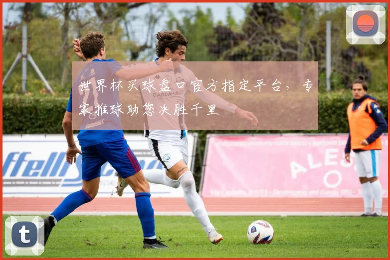 世界杯买球盘口官方指定平台，专家推球助您决胜千里